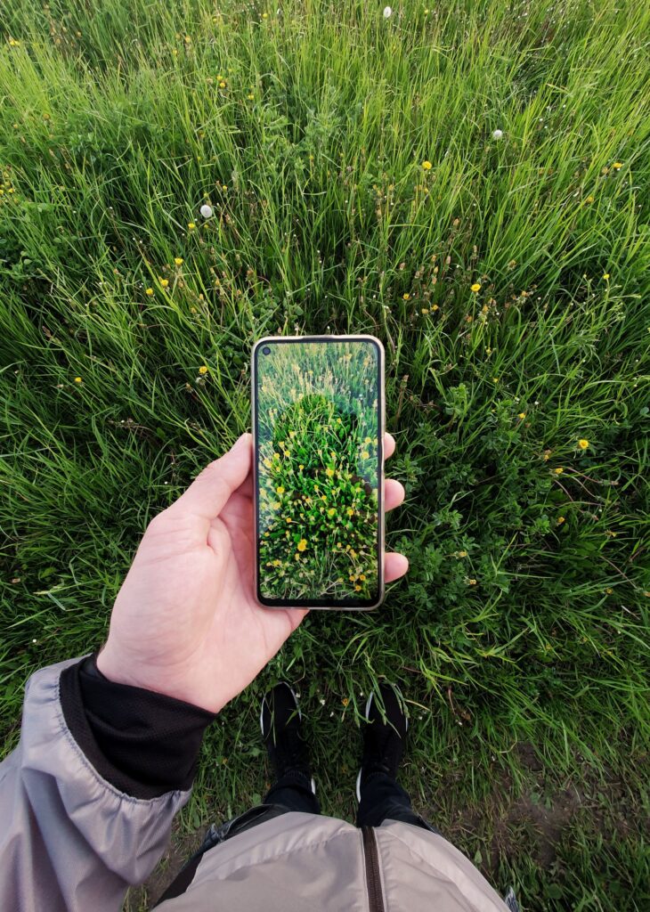 現在の画像: A person holds a smartphone displaying a grassy field with yellow flowers.