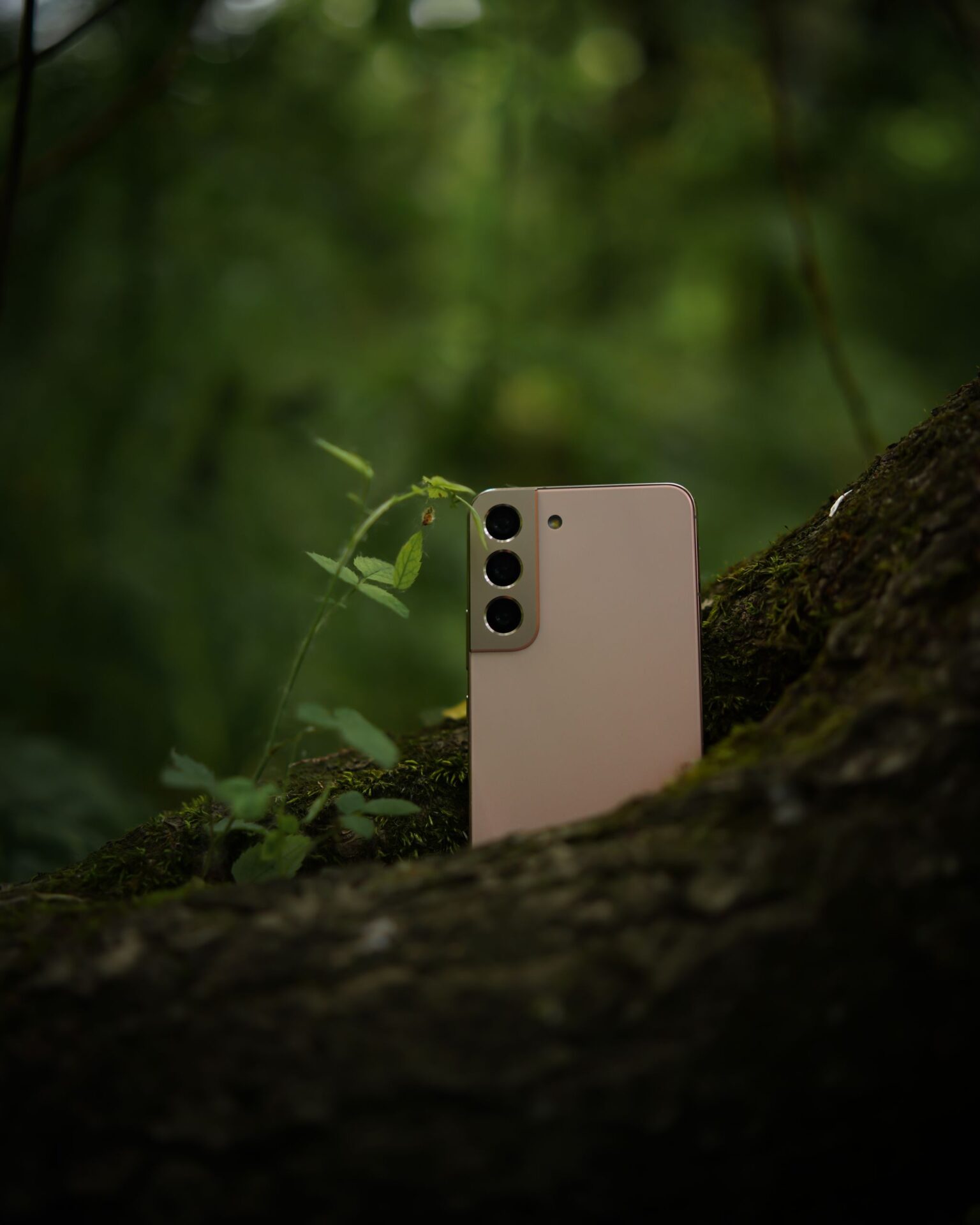 Smartphone nestled among lush green foliage on a tree trunk.